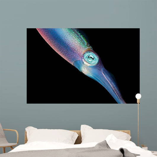 Caribbean Reef Squid Shallow Wall Decal Design 1