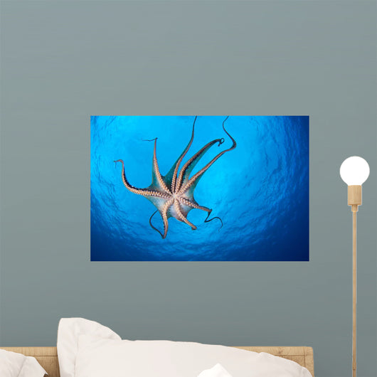 Tentacle Suckers Day Octopus Wall Decal Design 1