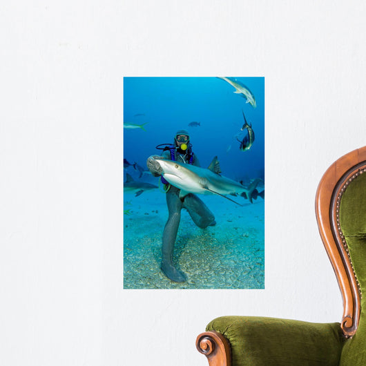 Diver Full Chain Mail Wall Decal