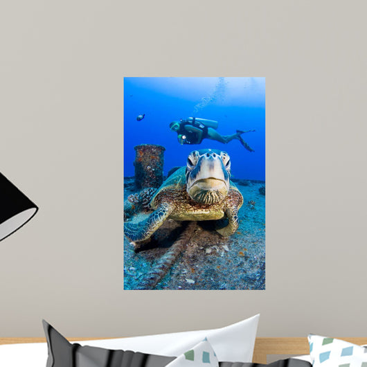 Diver Swimming with Green Wall Decal Design 1