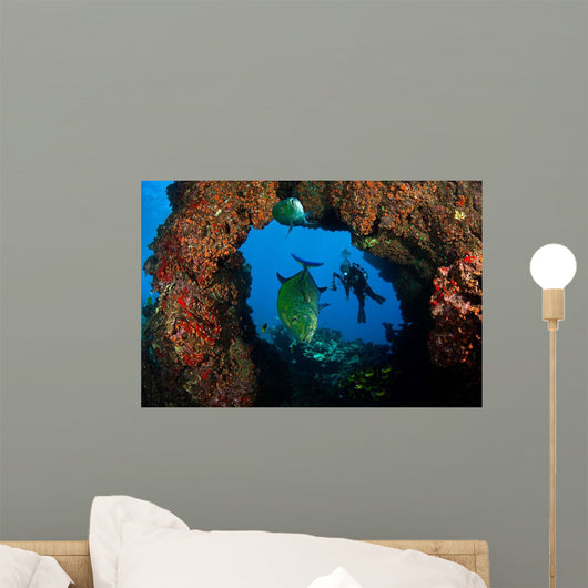Bluefin Trevally and Diver Wall Decal