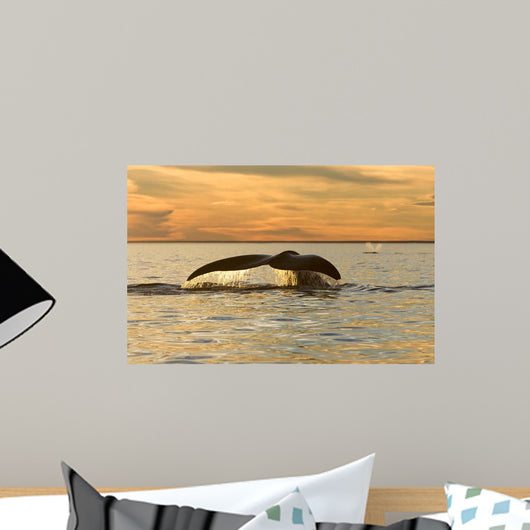 Tail Southern Right Whale Wall Decal Design 2