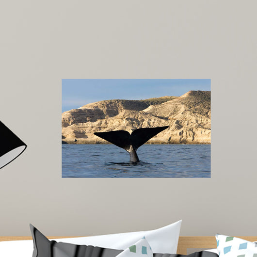 Tail Southern Right Whale Wall Decal Design 1