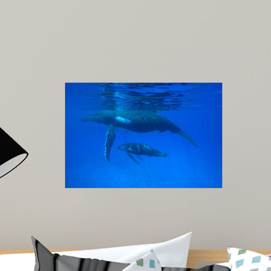Humpback Whale Megaptera Novaeangliae Wall Decal Design 2
