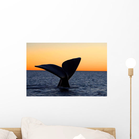 Tail Fluke Southern Right Wall Decal Design 11