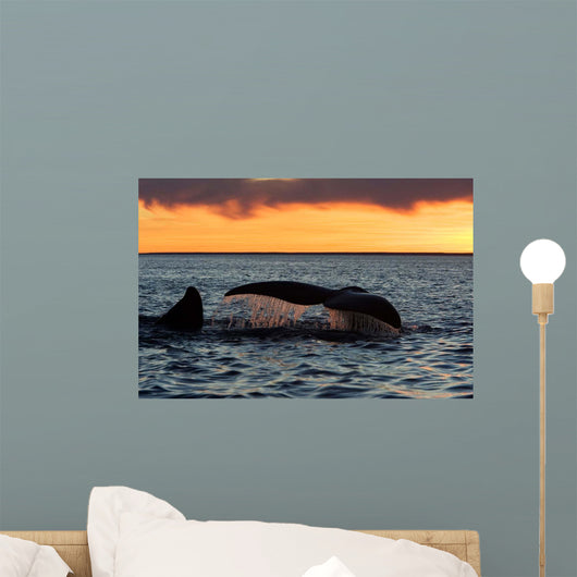 Tail Fluke Southern Right Wall Decal Design 10