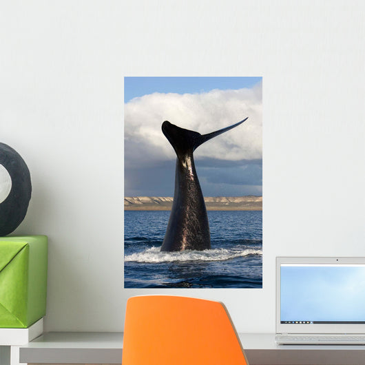 Tail Fluke Southern Right Wall Decal Design 9