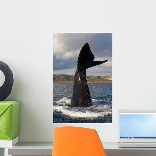 Tail Fluke Southern Right Wall Decal Design 8