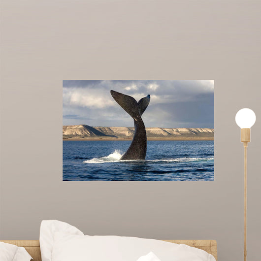 Tail Fluke Southern Right Wall Decal Design 7