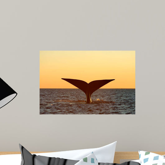 Tail Fluke Southern Right Wall Decal Design 5