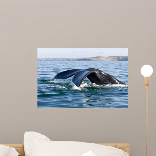 Tail Fluke Southern Right Wall Decal Design 3