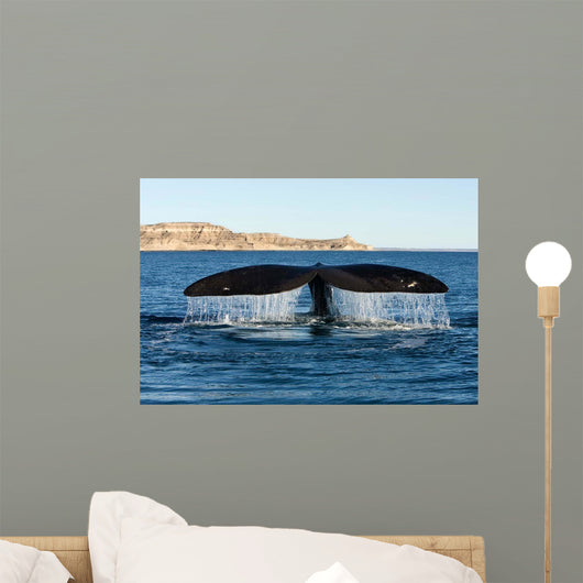 Tail Fluke Southern Right Wall Decal Design 2