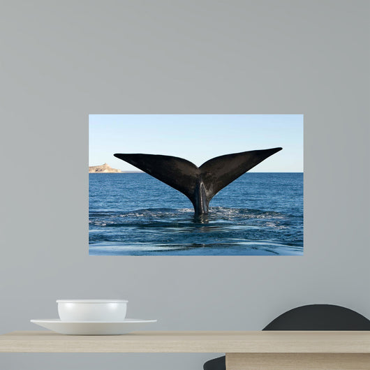 Tail Fluke Southern Right Wall Decal Design 1