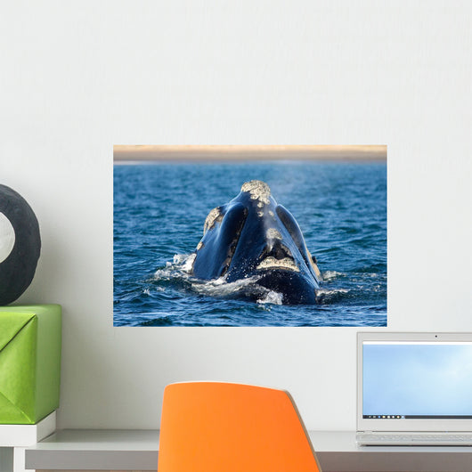 Rear Head Southern Right Wall Decal