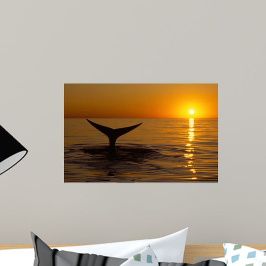 Northern Right Whale Sunset Wall Decal Design 2