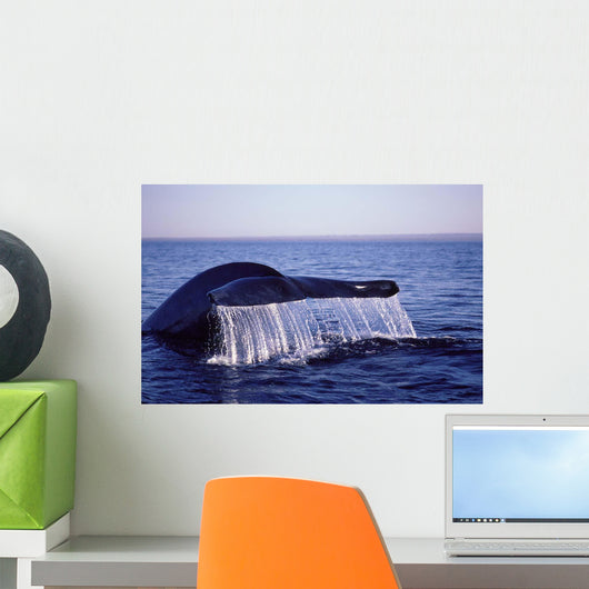 Tail Fluke Blue Whale Wall Decal Design 2