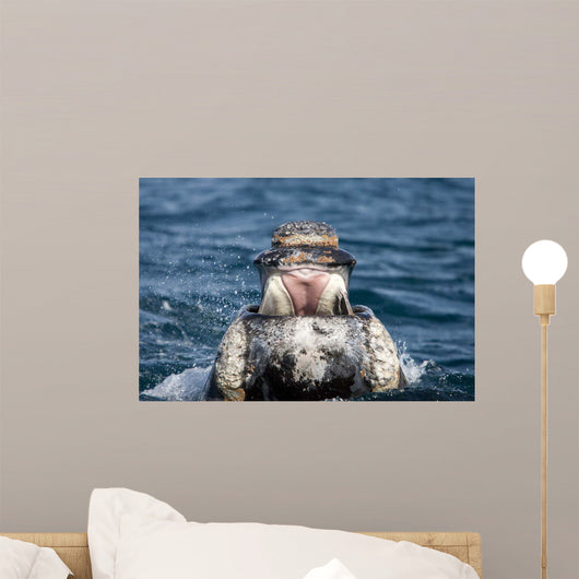Front Open Mouth Young Wall Decal