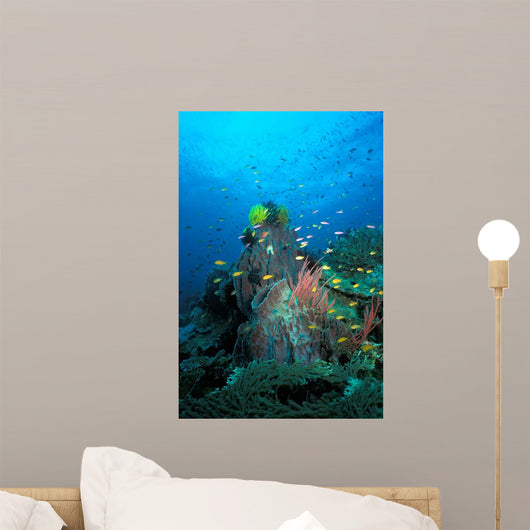Coral Reef Papua New Wall Decal