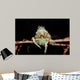 Japanese Spider Crab Macrocheira Wall Decal Design 4