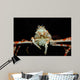 Japanese Spider Crab Macrocheira Wall Decal Design 4