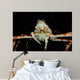 Japanese Spider Crab Macrocheira Wall Decal Design 4