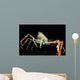 Japanese Spider Crab Macrocheira Wall Decal Design 3