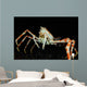 Japanese Spider Crab Macrocheira Wall Decal Design 3