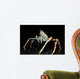 Japanese Spider Crab Macrocheira Wall Decal Design 2