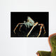 Japanese Spider Crab Macrocheira Wall Decal Design 2