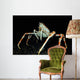 Japanese Spider Crab Macrocheira Wall Decal Design 2