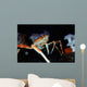 Japanese Spider Crab Macrocheira Wall Decal Design 1