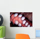 Giant Pacific Octopus British Wall Decal