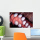 Giant Pacific Octopus British Wall Decal