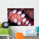 Giant Pacific Octopus British Wall Decal