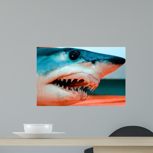 Head Shortfin Mako Shark Wall Decal