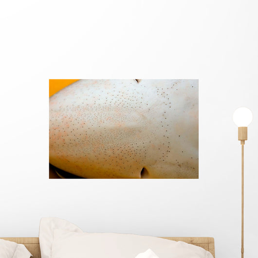 Close-up Ampullae Lorenzini Blue Wall Decal