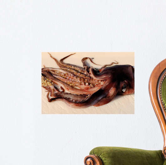 Toothed Suckers Humboldt Squid Wall Decal Design 2