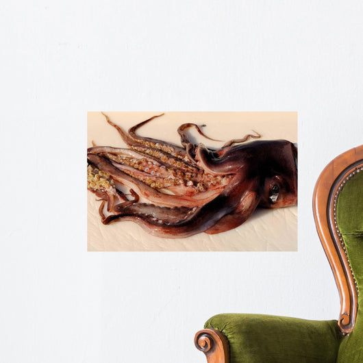 Toothed Suckers Humboldt Squid Wall Decal Design 2