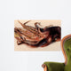 Toothed Suckers Humboldt Squid Wall Decal Design 2