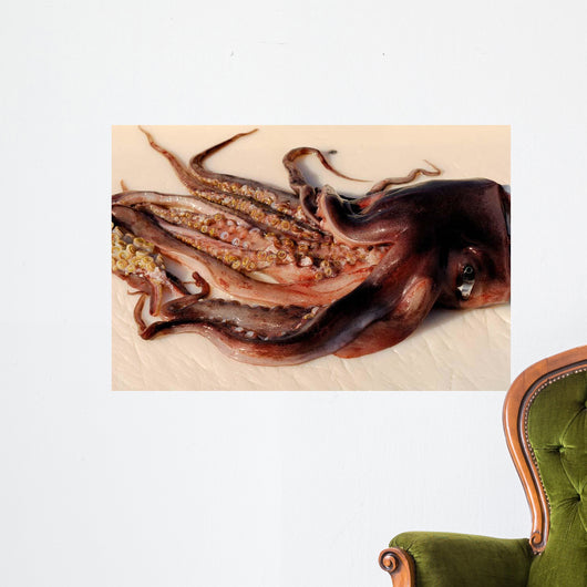 Toothed Suckers Humboldt Squid Wall Decal Design 2