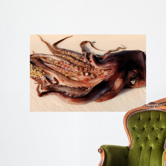 Toothed Suckers Humboldt Squid Wall Decal Design 2