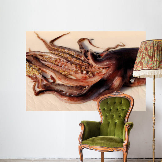 Toothed Suckers Humboldt Squid Wall Decal Design 2