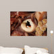 Beak Humboldt Squid Sea Wall Decal Design 2
