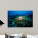 Crown-of-thorns Sea Star Shallow Wall Decal