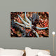 Tan Starfish Feeding Algae Wall Decal