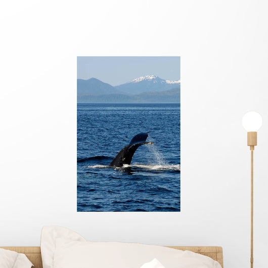 Humpback Whale Clarence Strait Wall Decal Design 1