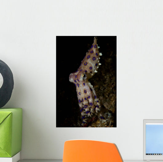 Blue Ring Octopus Displaying Wall Decal Design 7