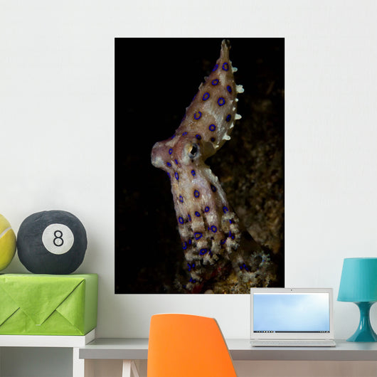 Blue Ring Octopus Displaying Wall Decal Design 7