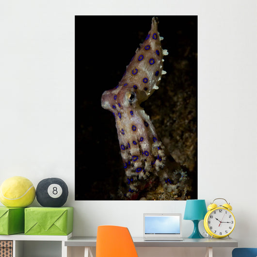 Blue Ring Octopus Displaying Wall Decal Design 7