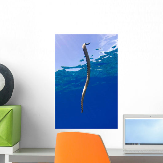 Chinese Sea Snake Banda Wall Decal Design 5